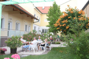 Pension & Weingut Storchenblick, Illmitz, Österreich